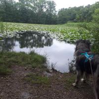 20190713_141400