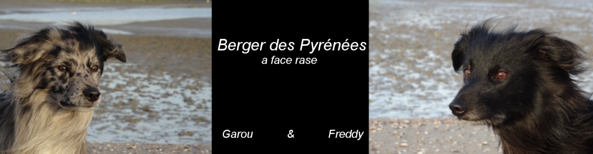 Rückbiss Willkommen in Freddys & Garous Welt