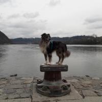 20180203_144522