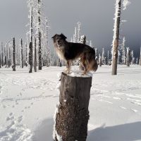 IMG-20180205-WA0012