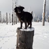 IMG-20180205-WA0030
