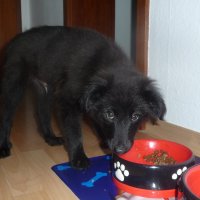 MEINS