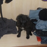 Verstecken im Schrank