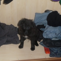 Verstecken im Schrank