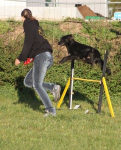 Vorsicht fliegender Hund!